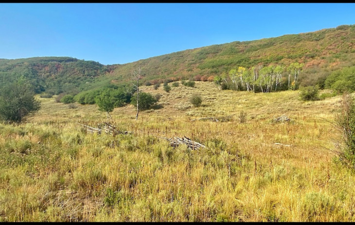 30025 County Road 179 Photo