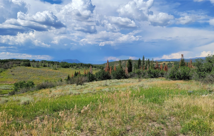 33860 Beaver Place Photo