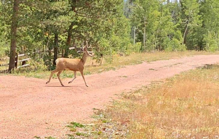 06 Halter Trail Photo