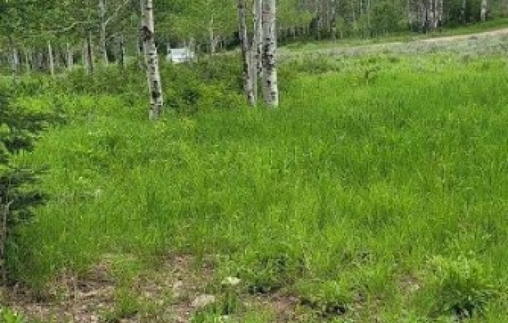 23890 Arapahoe Road Photo