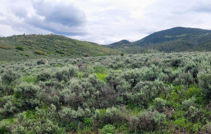 31540 Shoshone Way Photo
