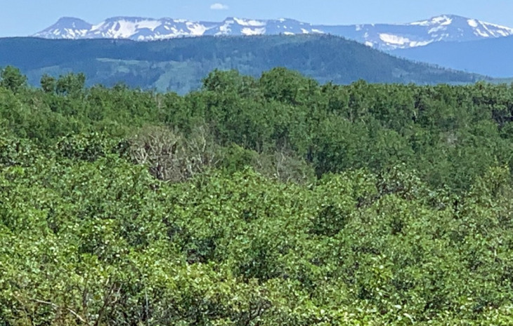 27185 Sundance Trail Photo