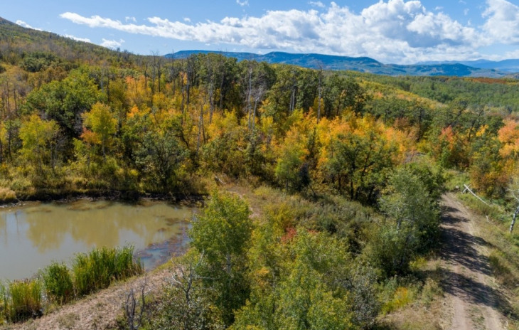 27185 Sundance Trail Photo