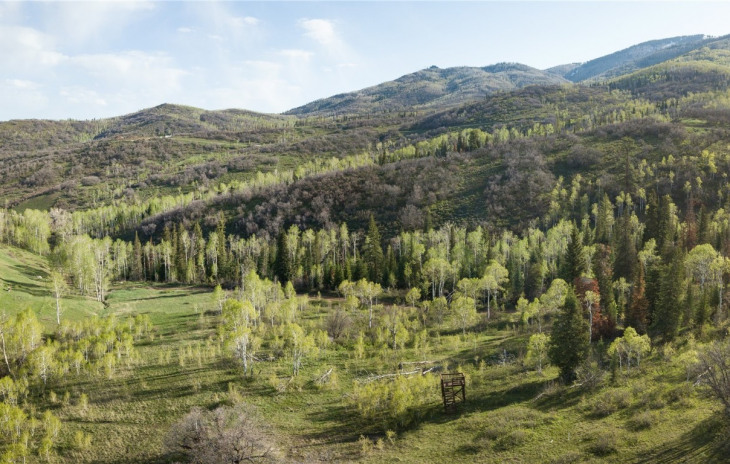 34500 Panorama Drive Photo