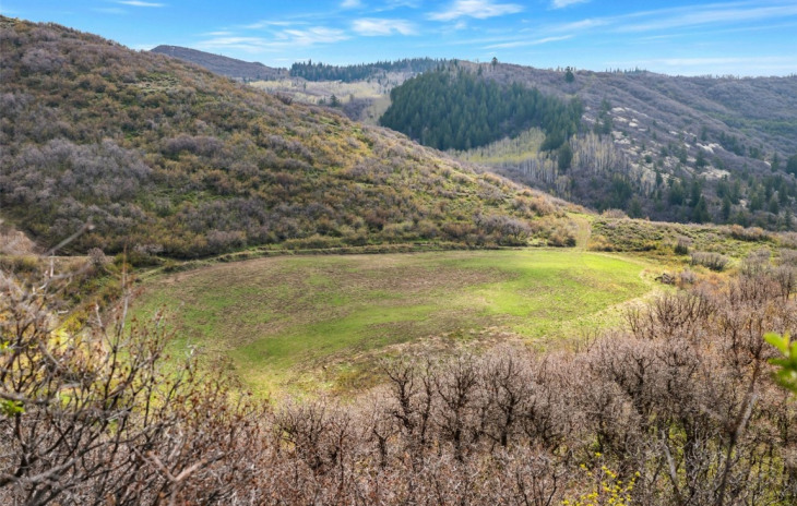 TBD County Road 52 Photo