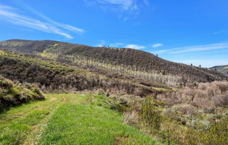 TBD County Road 52 Photo