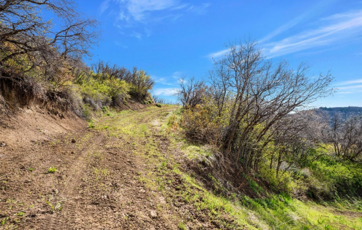 TBD County Road 52 Photo