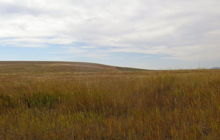 38350 Cattails Court Photo