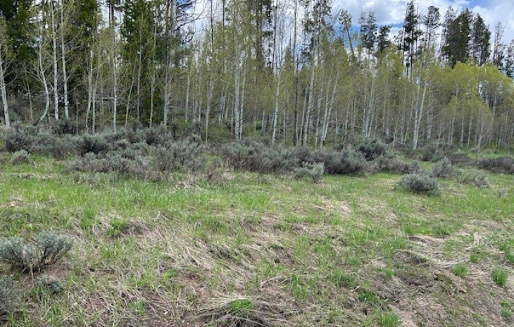 33345 Ramuda Trail Photo