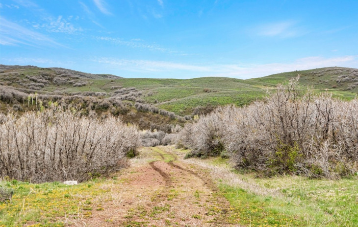TBD County Road 80 Photo