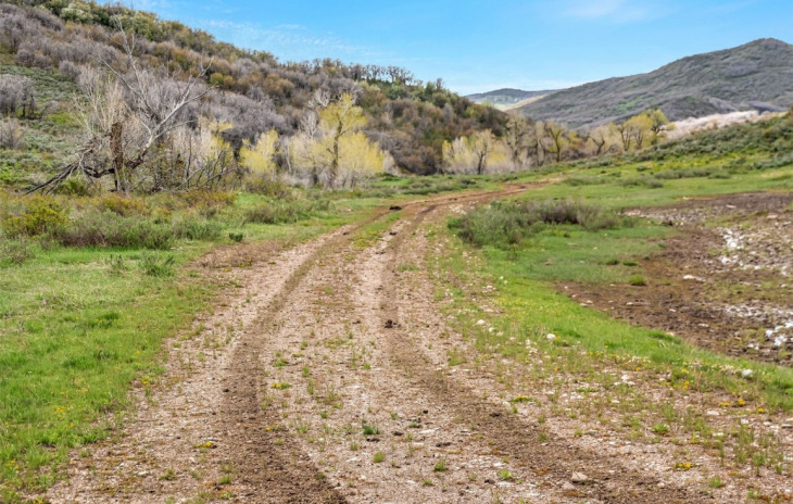 TBD County Road 80 Photo