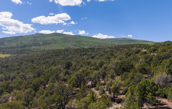 2435-2945 Co-131 Photo
