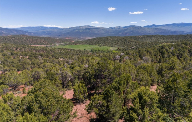 2435-2945 Co-131 Photo
