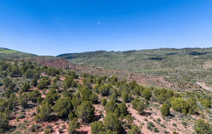 2435-2945 Co-131 Photo