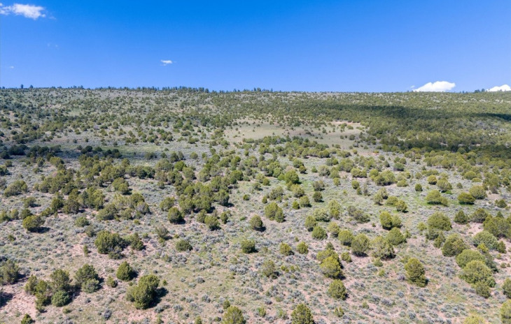 2435-2945 Co-131 Photo