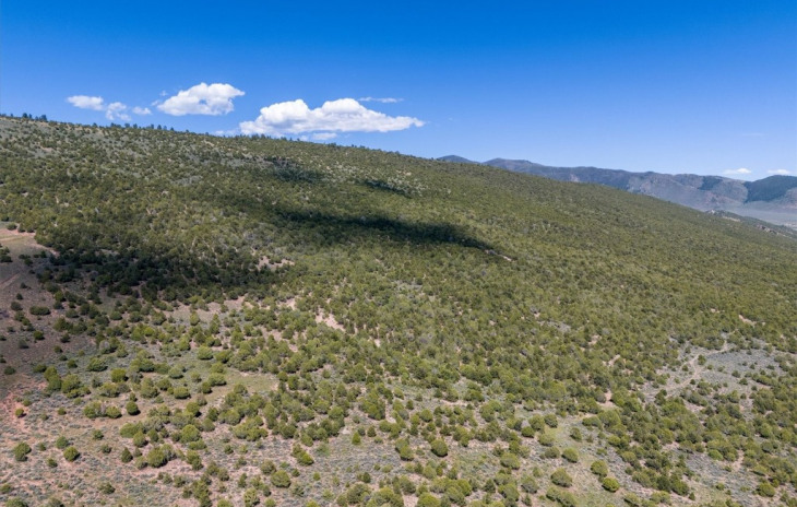 2435-2945 Co-131 Photo