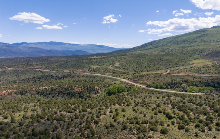 2435-2945 Co-131 Photo