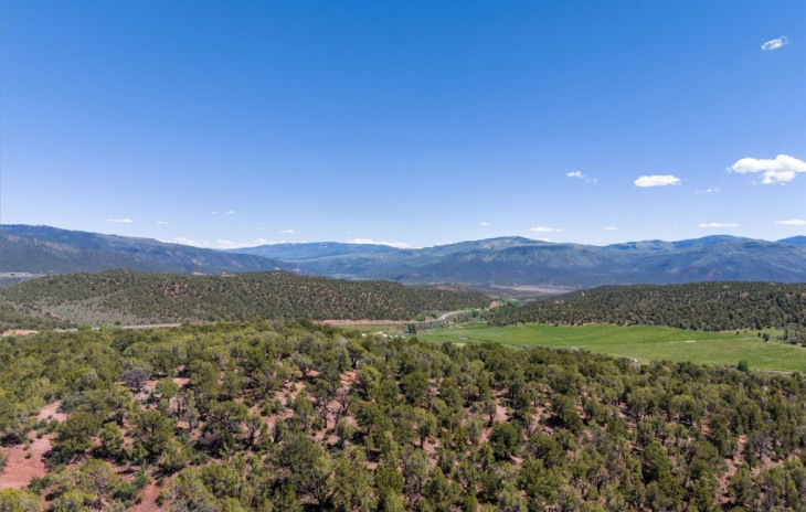 2435-2945 Co-131 Photo