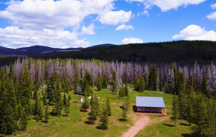 29190 Forest Road 500 Photo