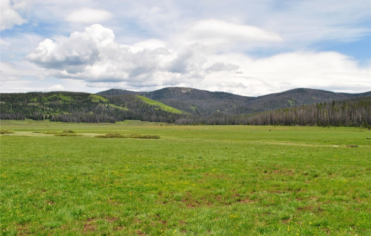 29190 Forest Road 500 Photo