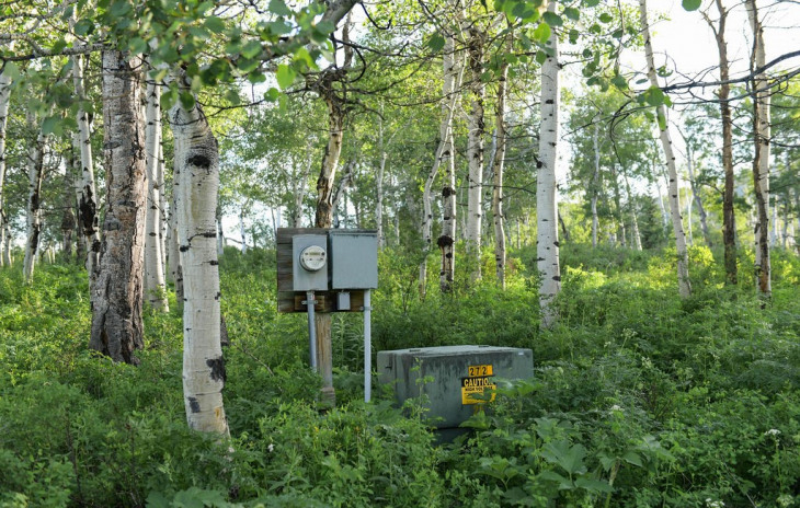 24610 Mcalpin Trail Photo