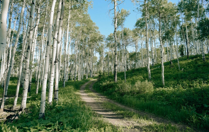 24610 Mcalpin Trail Photo