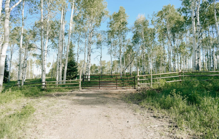 24610 Mcalpin Trail Photo