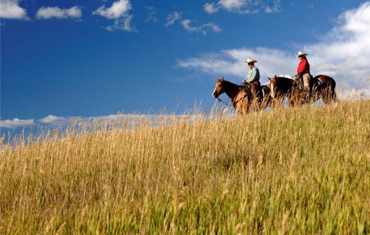 27150 Cowboy Up Road Photo