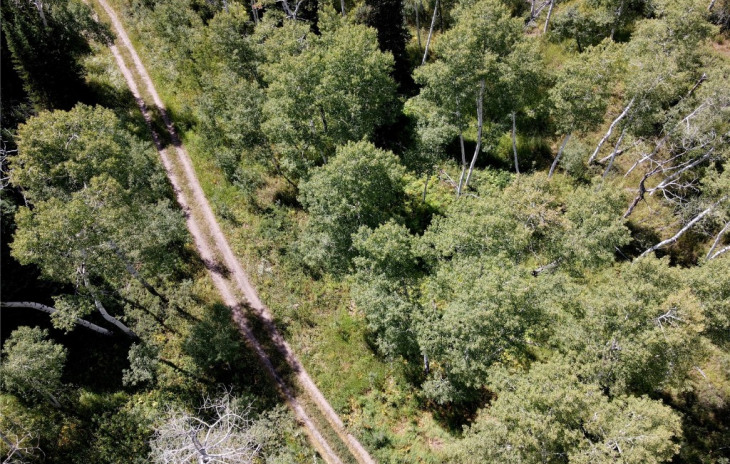 20361 King Bolt Trail Photo