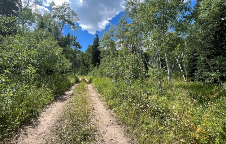 20361 King Bolt Trail Photo
