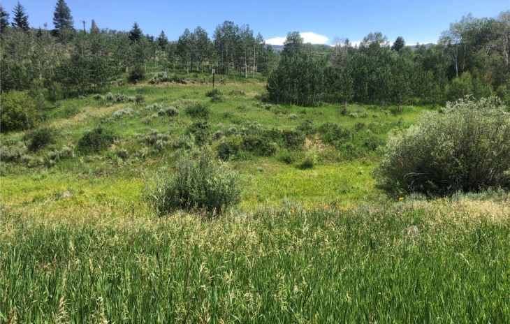 22608 Comanche Road Photo