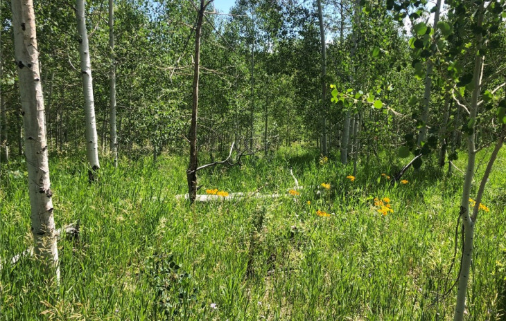 22608 Comanche Road Photo