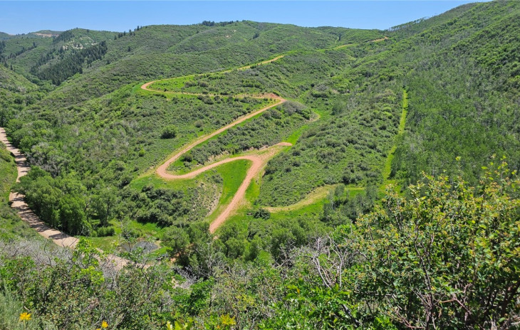 TBD Rcr 52 Photo