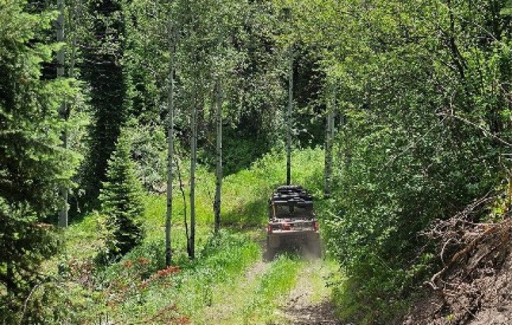 TBD Rcr 50 Photo