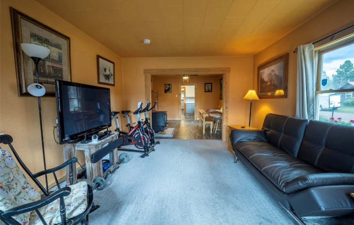 207 Lincoln Street Photo
