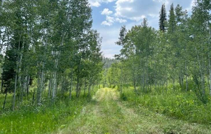 20295 King Bolt Trail Photo
