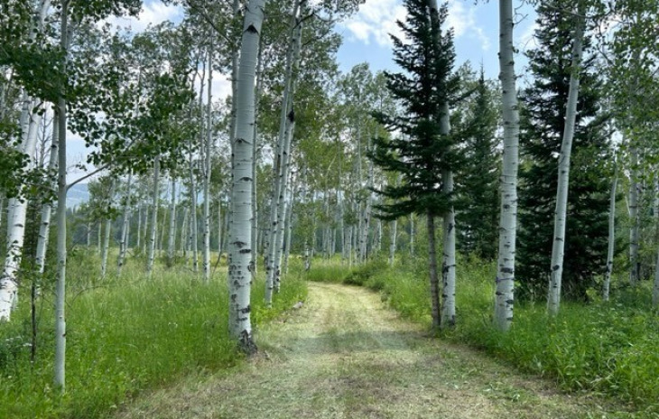 20295 King Bolt Trail Photo