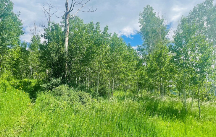 20295 King Bolt Trail Photo