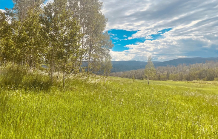 20295 King Bolt Trail Photo