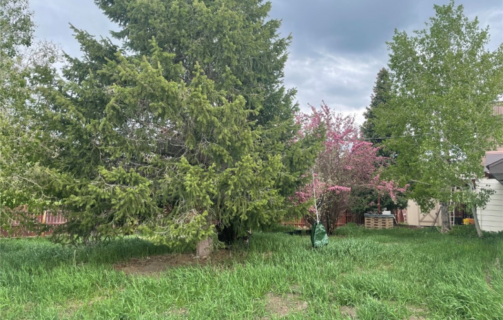 25995 County Road 43 Photo