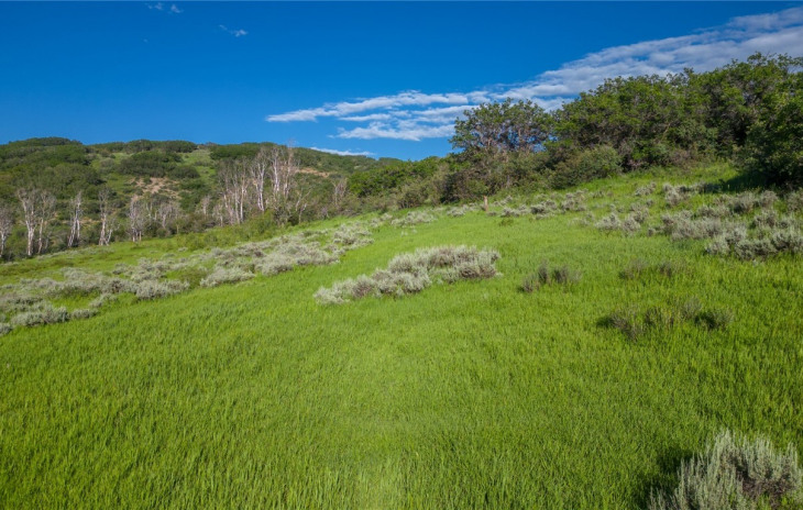 27105 Cowboy Up Road Photo
