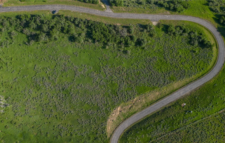 27105 Cowboy Up Road Photo