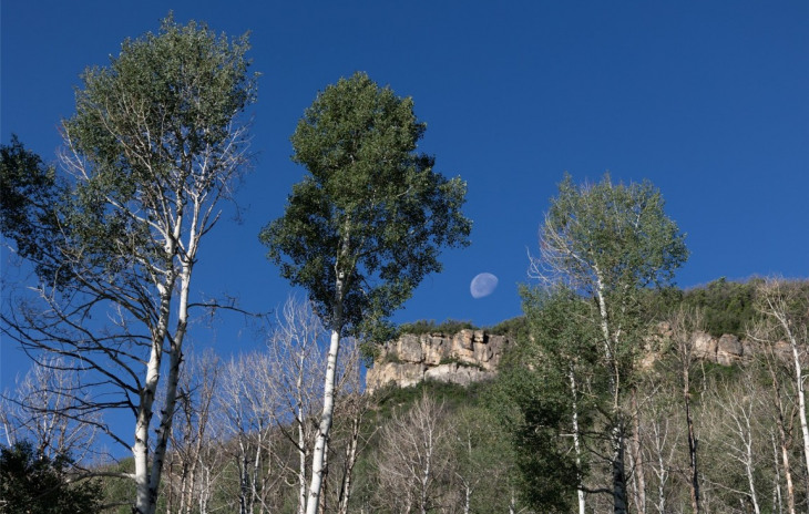 TBD Grouse Ridge Photo