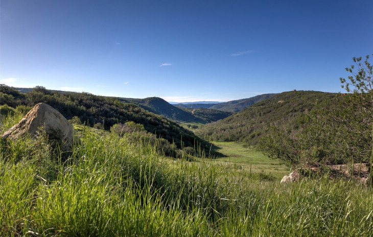 TBD Grouse Ridge Photo