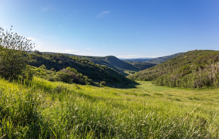 TBD Grouse Ridge Photo