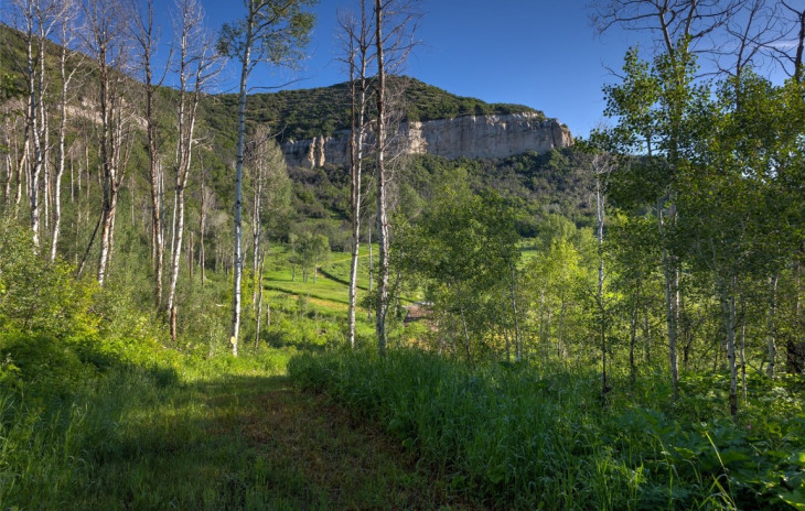 TBD Grouse Ridge Photo