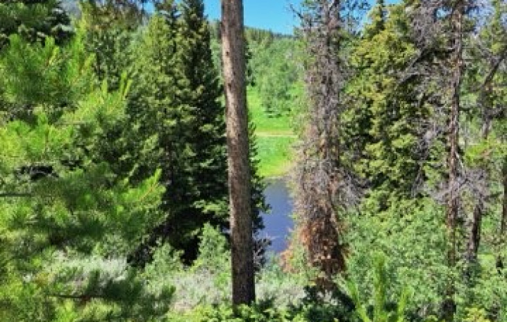 32416 Ute Trail Photo