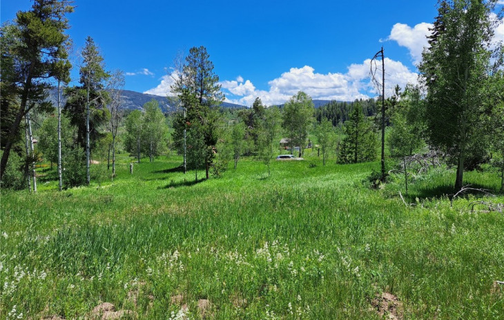 32416 Ute Trail Photo