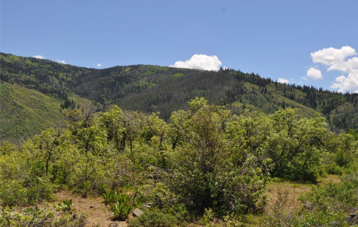 31750 Preserve Drive South Photo