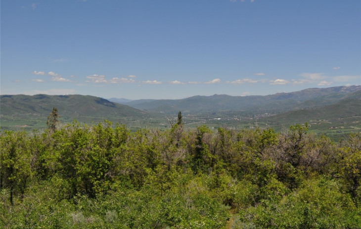 31750 Preserve Drive South Photo